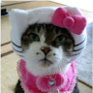 Meet your Posher, Mara